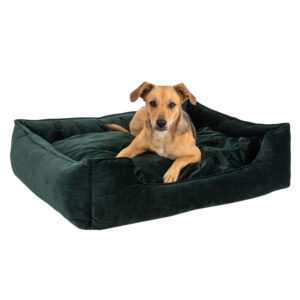 Modern Living Hundeseng Fern - L 85 x B 80 x H 22 cm