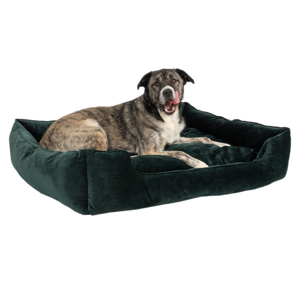 Modern Living Hundeseng Fern - L 108 x B 95 x H 24 cm