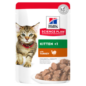 Hill's Science Plan Kitten - 48 x 85 g Kalkun