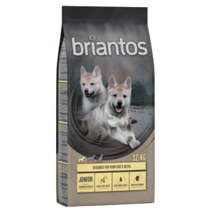 11 + 1 kg gratis! 12 kg Briantos kornfritt tørrfôr - Junior Kylling & Potet