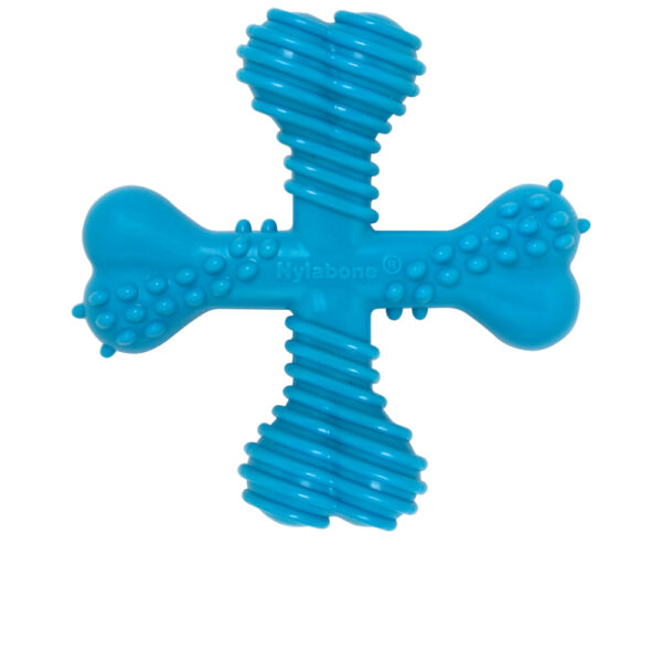 Nylabone Adult X-Bone tyggeleketøy for voksne - Størrelse L: ca. L 14 x B 14 x H 4 cm