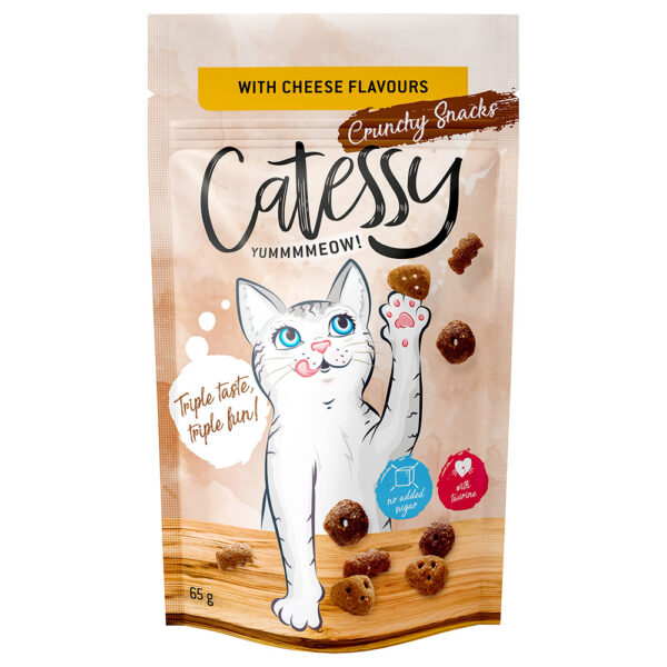 Catessy Crunchy Snacks 65 g - ostesmak