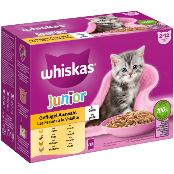 Megapakke Whiskas Junior porsjonsposer 24 x 85 gram - Fjærfeutvalg i gelè