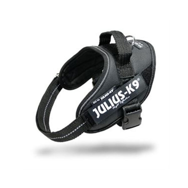 JULIUS-K9® hundesele