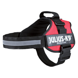 JULIUS-K9®-hundesele