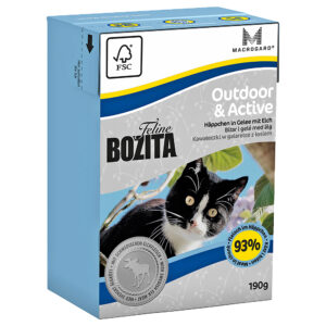 Økonomipakke Bozita Feline Tetra Recart 12 x 190 g - Outdoor & Active