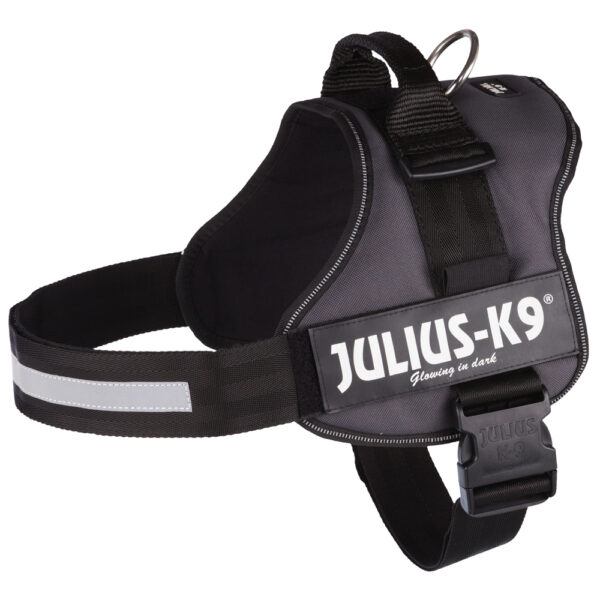 JULIUS-K9® hundesele