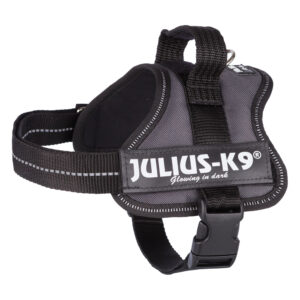 JULIUS-K9® hundesele