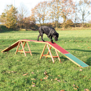 Trixie Dog Activity Agility Bom - L 456 x B 30 x H 64 cm