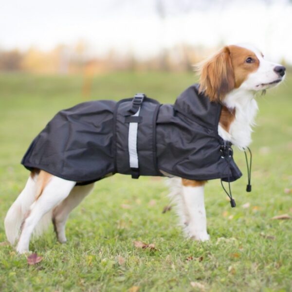 Back on Track Dog rain rug (no filling)