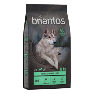 11 + 1 kg gratis! 12 kg Briantos kornfritt tørrfôr - Adult Lam & Potet