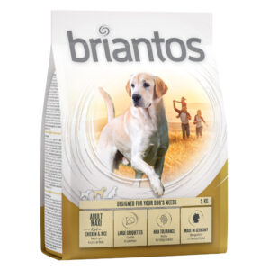 Briantos Adult Maxi - 1 kg