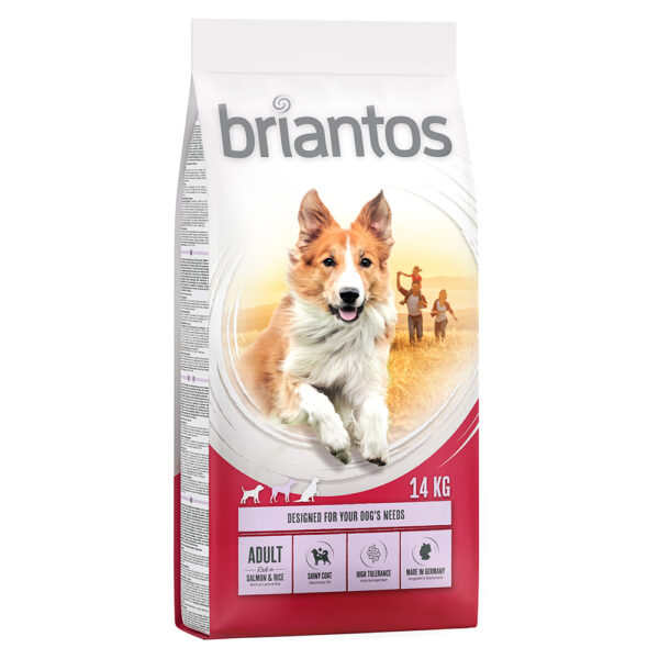 Briantos Adult Laks & Ris - 14 kg