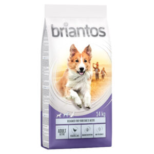 Briantos Adult Active - 14 kg