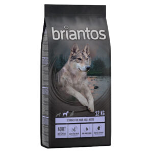 11 + 1 kg gratis! 12 kg Briantos kornfritt tørrfôr - Adult And & Potet