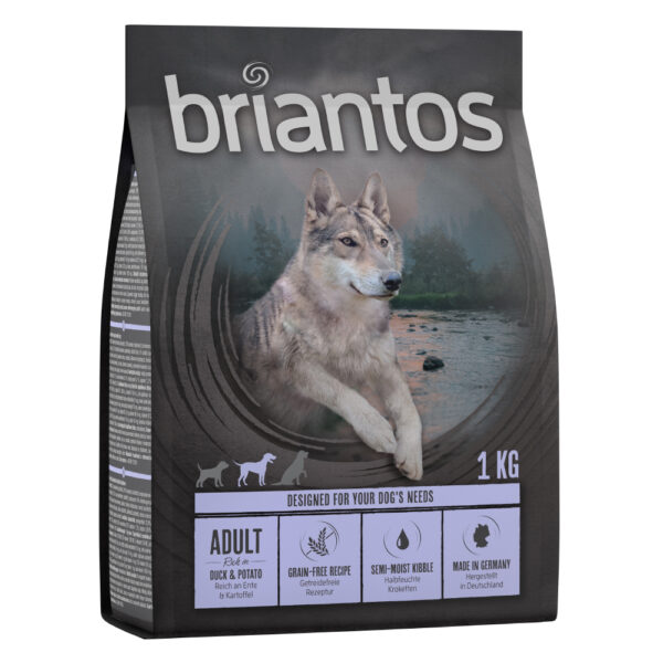 Briantos Adult And & Potet - Kornfri - 1 kg