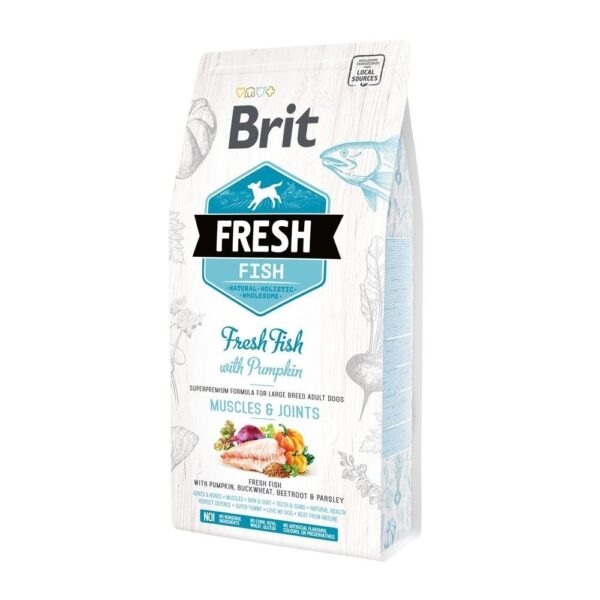 Brit Fresh Fish with Pumpkin Adult Large (2