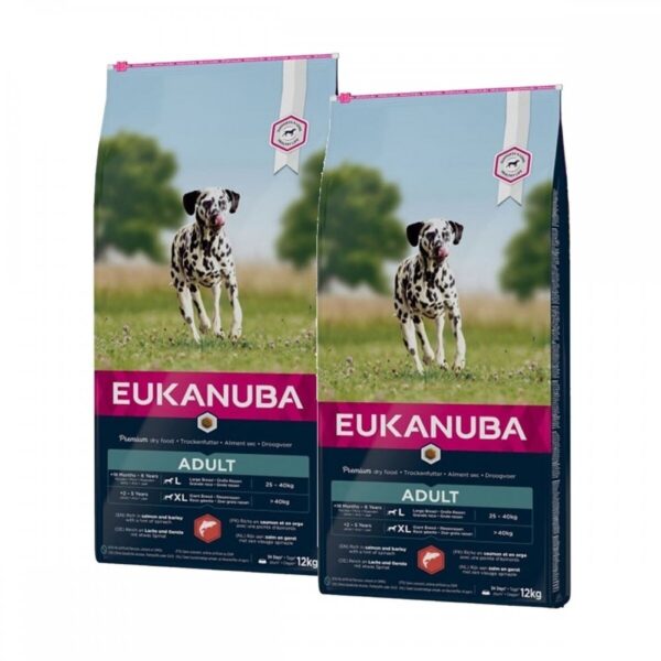 Eukanuba Adult Large Breed Salmon&Barley 2 x 12kg