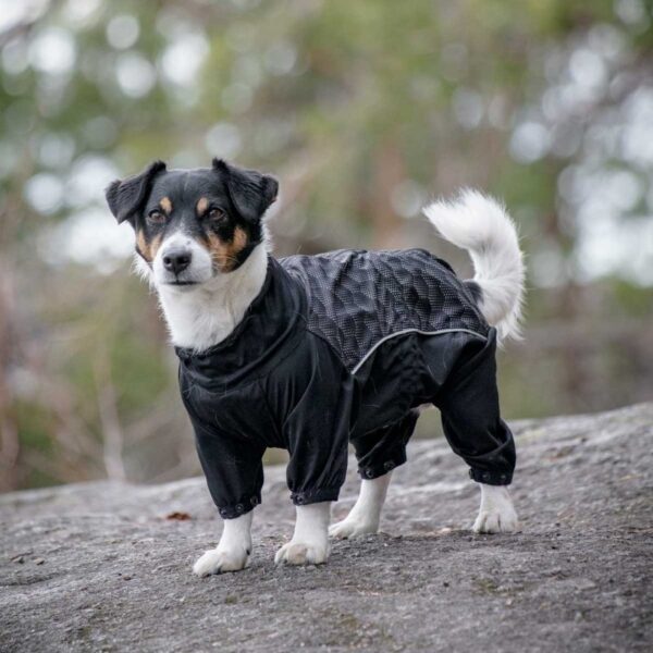 Feel Active Nimble Hundeoverall Svart (45 cm)