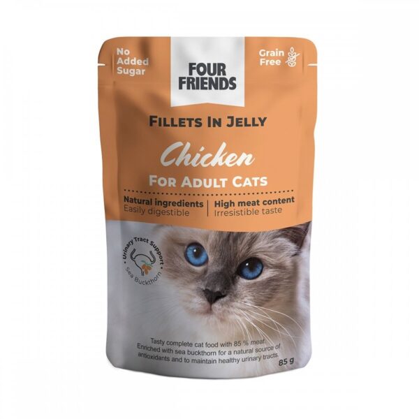 Four Friends Cat Adult Chicken in Jelly 85 g