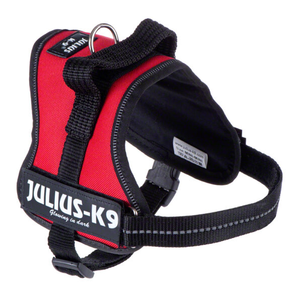 JULIUS-K9®-hundesele