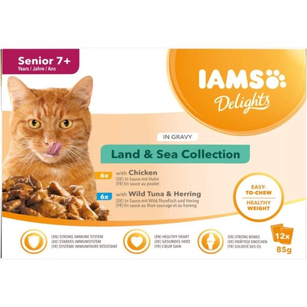 Iams Delights Senior Gravy Multipack