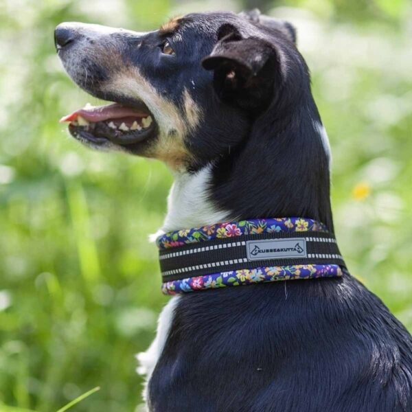 Kusse&Kutta Hundehalsband Lycra Bred Modell Blomster (10)