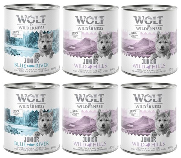 10 % Rabatt! Wolf of Wilderness mixpakker - 6 x 800 g (Classic bokser): JUNIOR 4x And & Kalv