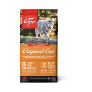 Orijen Cat Original (17 kg)