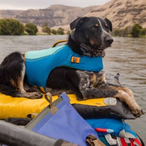 RuffWear Float Coat Redningsvest til Hund Blå (XL)