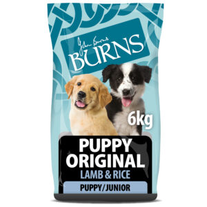 Burns Puppy Original - Lam og ris - Økonomipakke: 2 x 6 kg