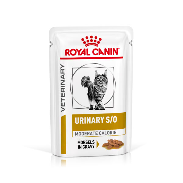 Royal Canin Veterinary Feline Urinary S/O Moderate Calorie i saus - 12 x 85 g