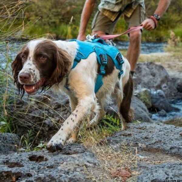 RuffWear Web Master Hundesele Blå (L/XL)