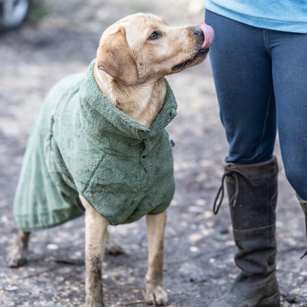 Rukka Medea Eco Badekåpe til Hund Grønn (XL)