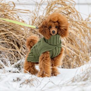 Rukka Wooly Hundegensere Strikket Grønn (XXL)