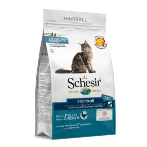 Schesir Hairball (1