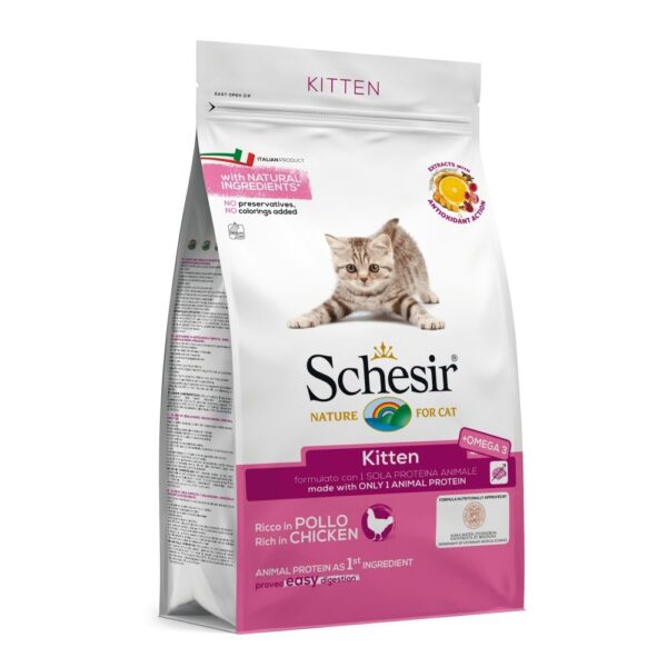 Schesir Kitten (1