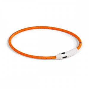 Basic LED-halsbånd til hund Nylon (Orange)