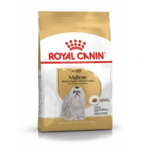 Royal Canin Maltese Adult 1