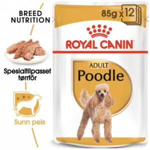 Royal Canin Poodle Adult våtfôr