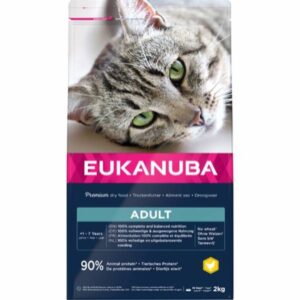 Eukanuba Cat Adult 1+ 2kg