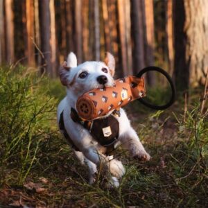 Woolly Wolf Dummy Lysebrun med Mønster