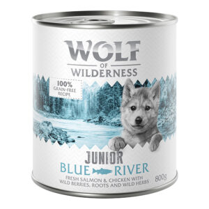 Økonomipakke Little Wolf of Wilderness 12 x 800 g - Blue River Junior - Laks & Kylling