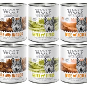 Wolf of Wilderness 6 x 800 g - Blandet pakke (Lam