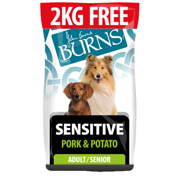 2 kg gratis! 14 kg Burns tørrfôr - Adult Sensitive - Svinekjøtt og potet