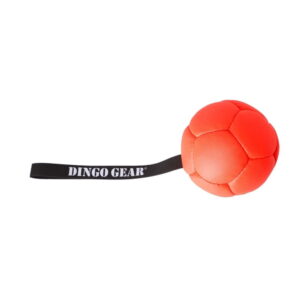 Dingo Gear Eco Hundeball i Nylon med Håndtak 13 cm (Orange)