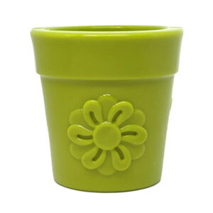 SodaPup Flower Pot Aktivitetsleke 9 cm (Grønn)