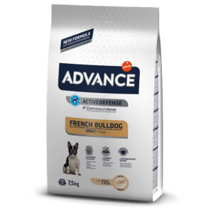 Advance French Bulldog med and - 7