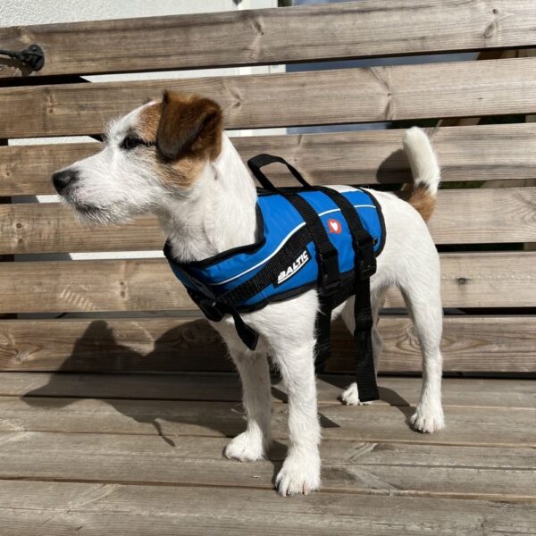 Baltic Vetzoo Flytevest til Hund Blå (XL)