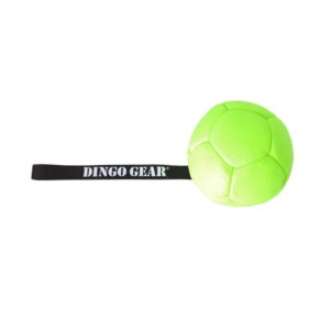 Dingo Gear Eco Hundeball i Nylon med Håndtak 13 cm (Grønn)